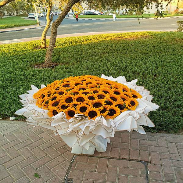 99-sunflower-3.jpg