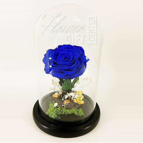 Big-Single-Preserved-Blue-Rose-With-Small-Toys.jpg