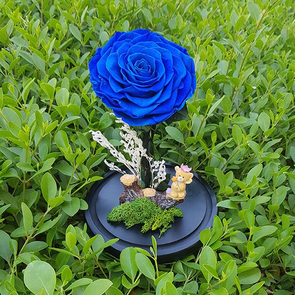 Blue Preserved Rose With Small Toys | Flower Gift Center