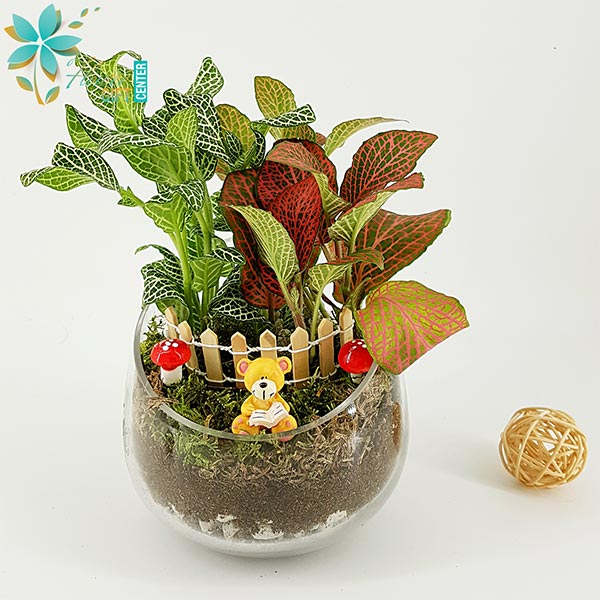 Fittonia Plant Mix in Cut Bow Glass Vase | Flower Gift Center