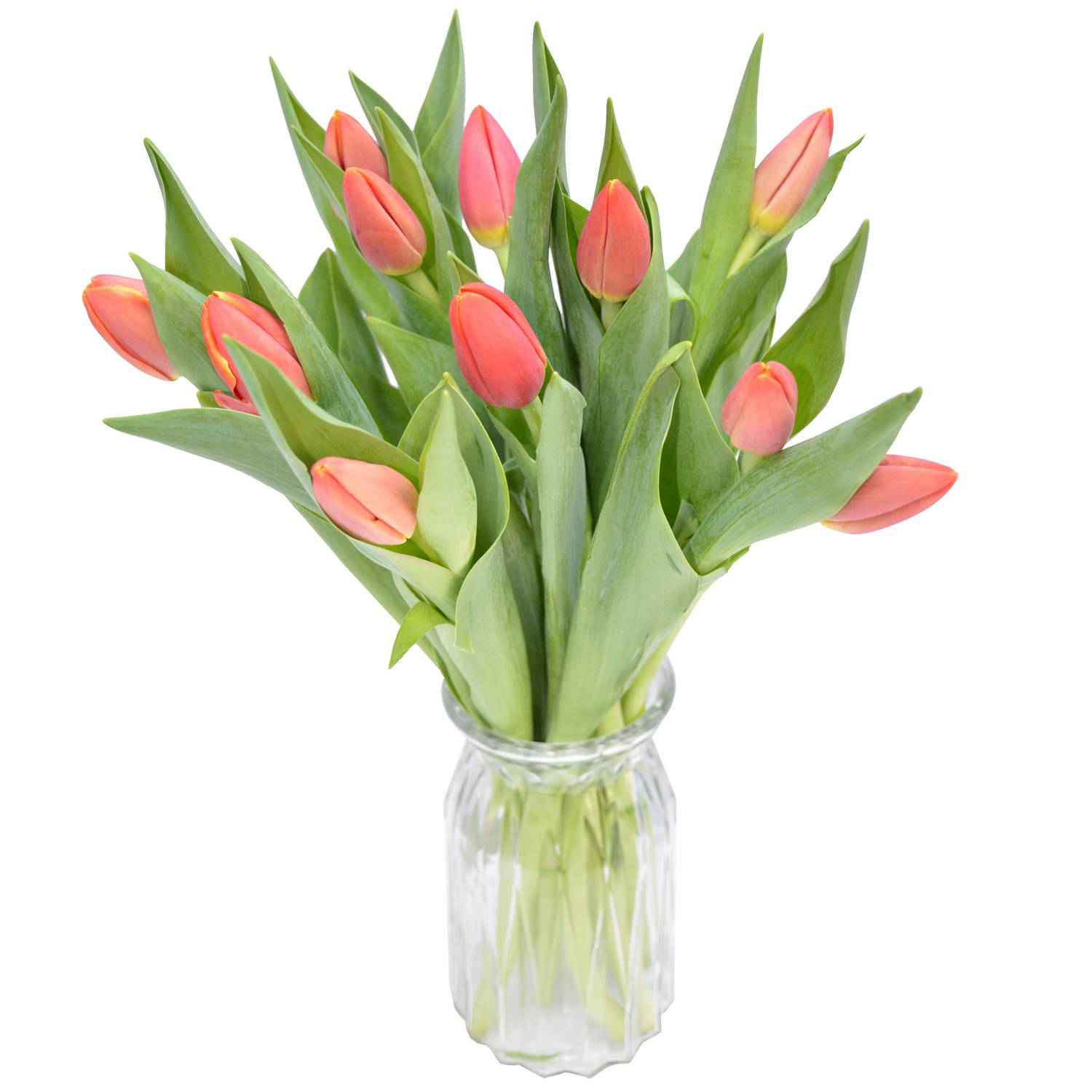 10 Orange Tulip Arrangement Stander | Beautiful Tulips in Jar | Flower Gift Center