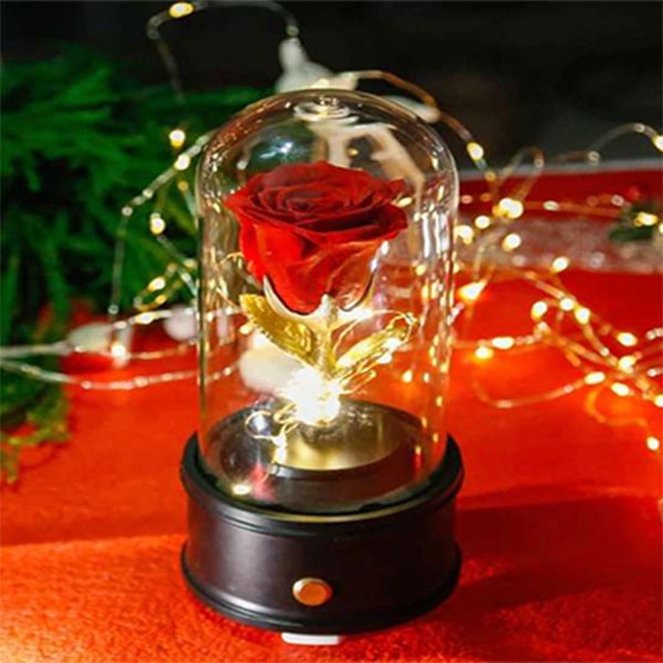 Preserved Red Rose Dome With LED Light and Bluetooth Speaker