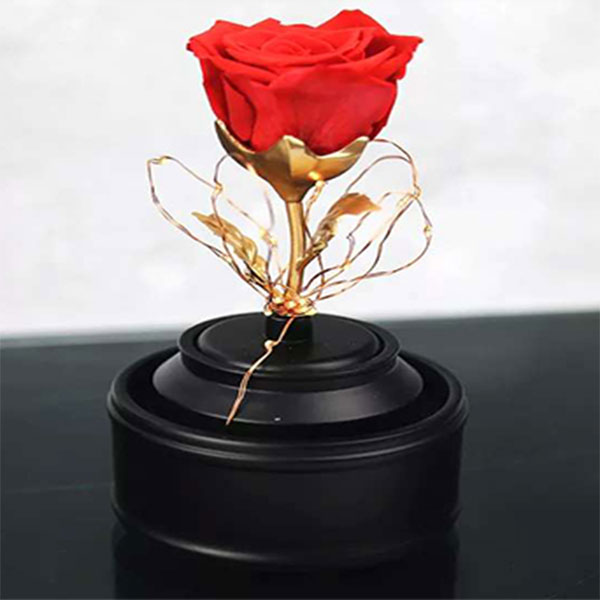 Preserved-Red-Rose-Dome-With-LED-Light-and-Bluetooth-Speaker-3-3.jpg
