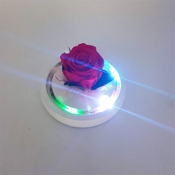 Preserved-Red-Rose-Dome-With-LED-Light-and-Bluetooth-Speaker-3-4.jpg