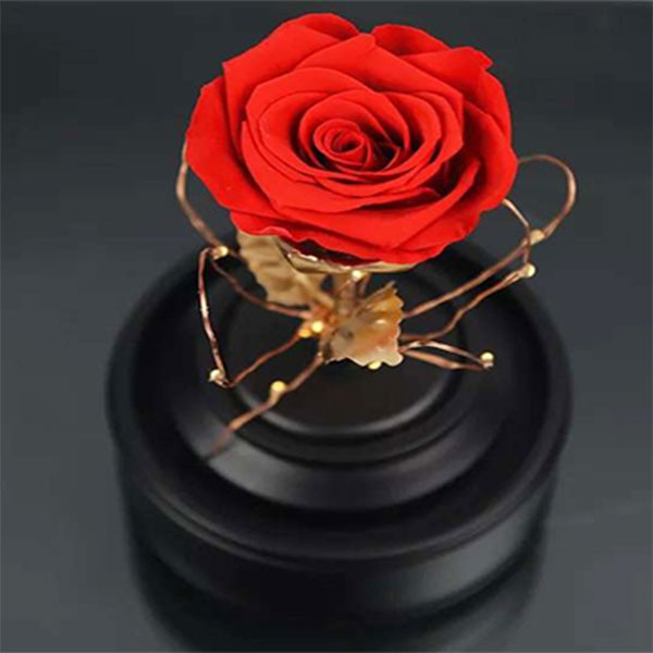 Preserved-Red-Rose-Dome-With-LED-Light-and-Bluetooth-Speaker-4-2.jpg