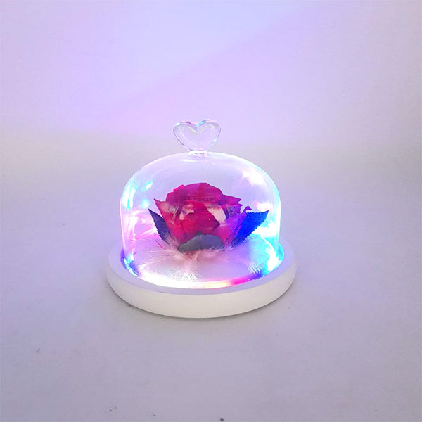 Preserved-Red-Rose-Dome-With-LED-Light-and-Bluetooth-Speaker-4-4.jpg