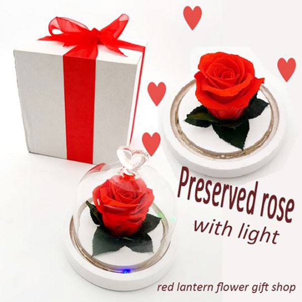 Preserved Rose Light-Up Glass Dome