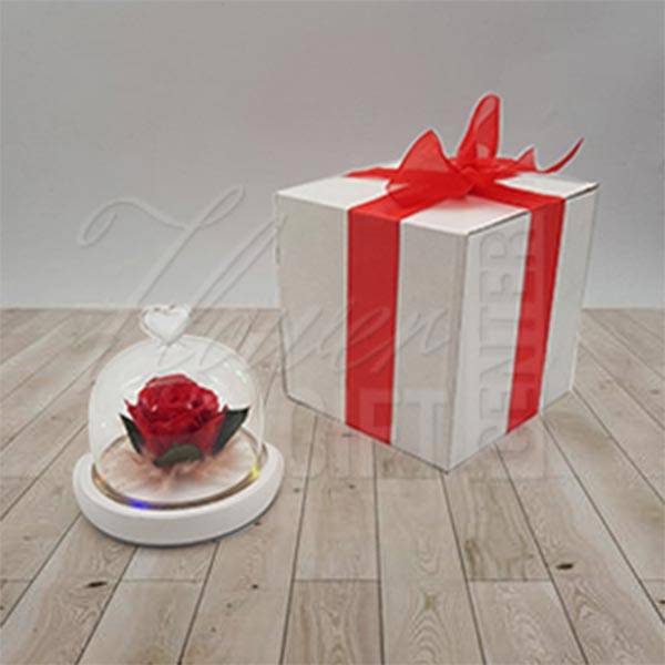 Small-Single-Preserved-Red-Rose-With-Light2-1.jpg