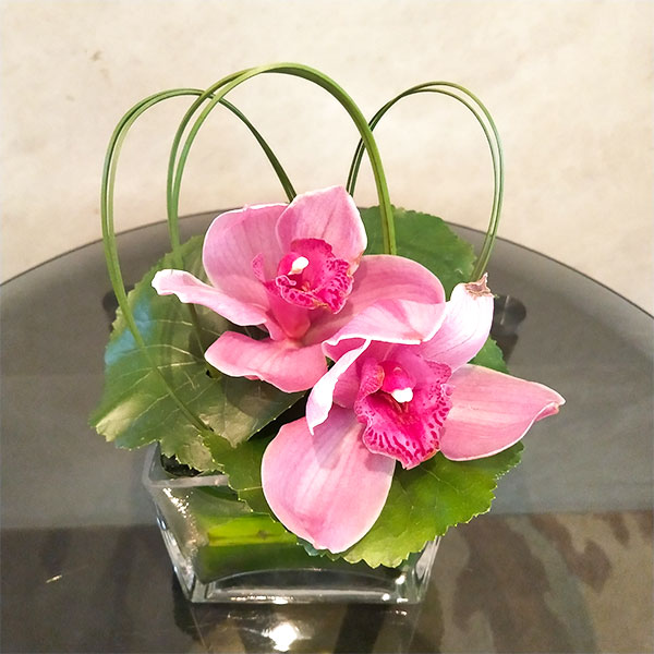 Pink Orchid Table Flower