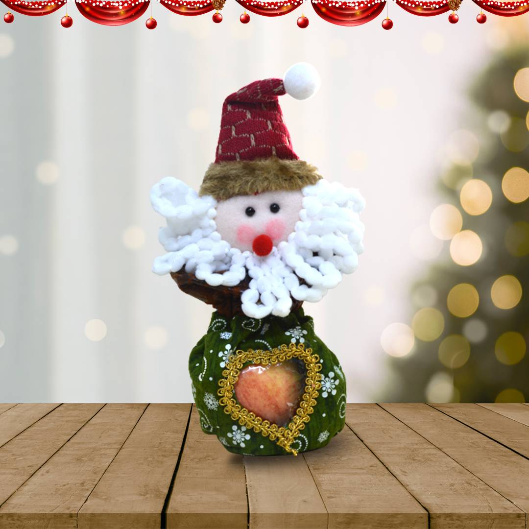 Christmas Santa Decor w/Apple | Flower Gift Center
