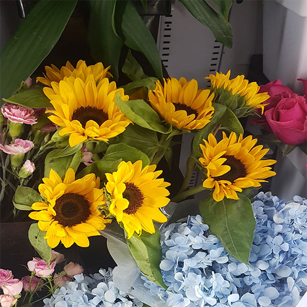 Single Sunflower | Flower Gift Center